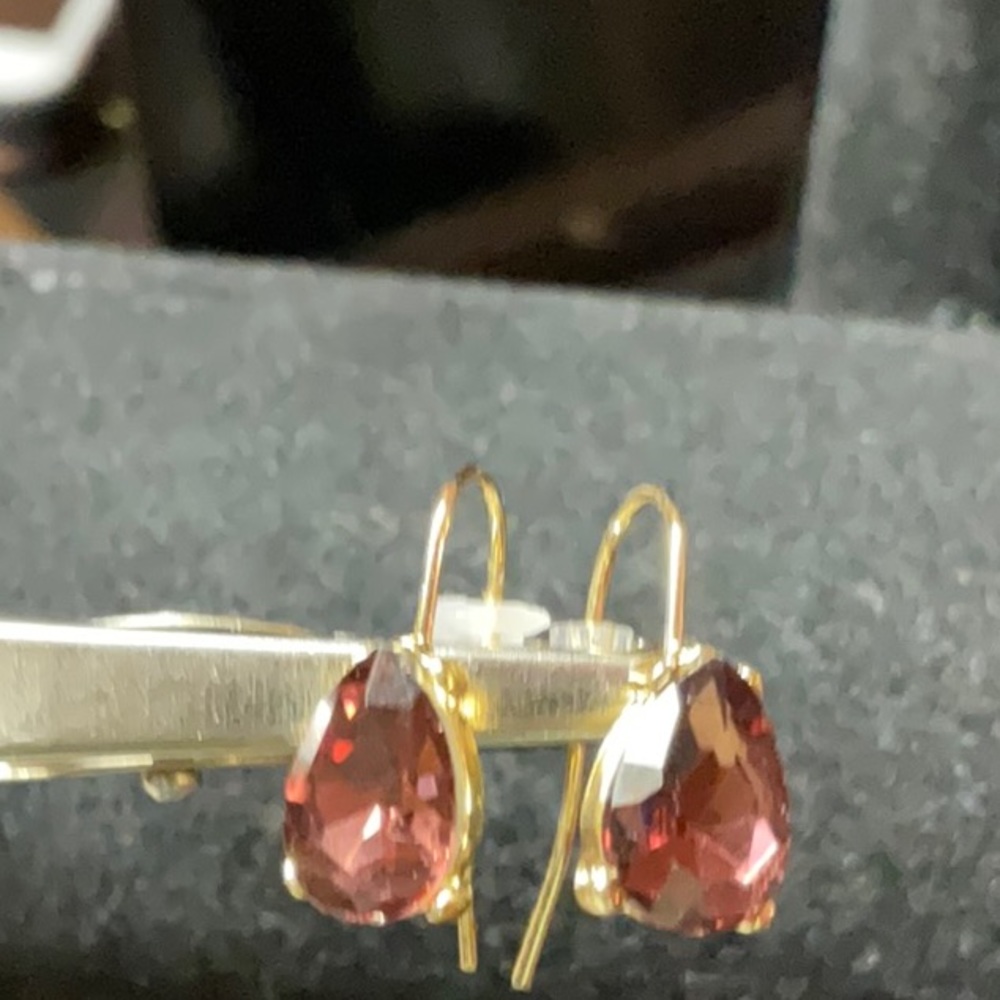 Costume Garnet Earrings